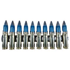 10, 30mm TP M788 Rounds in Mark 1 links