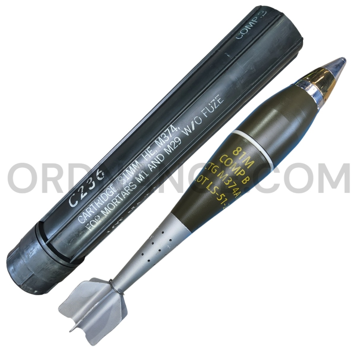 エムラルウァ 81MHC（ベイトロッド） ディスプラウト M-LARVA